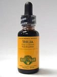 Thuja