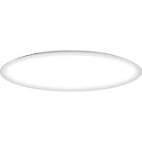 11-1/2-Inch Energy Star Qualified Flushmount Ceiling Fixture