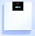 Digital Bathroom Floor Scale
