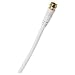 White 50 Foot Video Cable