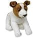 asthma friendly Jack Russell