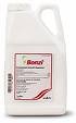 IMAGE OF Bonzi Ornamental Growth Regulator