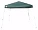 Weekender W81 12' x 12' Instant Canopy (Oregon Green)