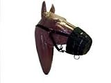 Muzzle Grazing Horse Black