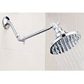 Paragon PRS1 Rain Shower Head with Filter, Rainfall Sunflower Filtered Showerheads Chrome