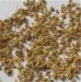 無農薬ハーブティー：　エルダーフラワー 15g　3個セット