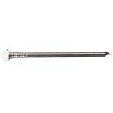 50LB 20D BRT Comm Nail by Fox Valley