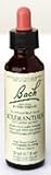Bach Flower Essence - Scleranthus