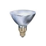 Tools & Hardware : PAR30 Capsylite Bulb Medium, 75 Watt