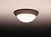 Kichler Tannery Bronze Flush Mt 1 Light Incandescent 8880TZ