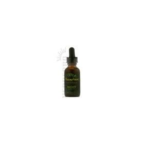 Neemaura Neem Seed Topical Oil