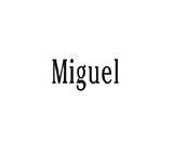 Clearly Charming Name Miguel Stainless Steel Text Numbers Types Italian Charm Link