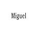 Jewelry : Clearly Charming Name Miguel Stainless Steel Text Numbers Types Italian Charm Link