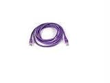 Belkin - Patch cable - RJ-45 (M) - RJ-45 (M) - 75 ft - UTP - ( CAT 5e ) - purple