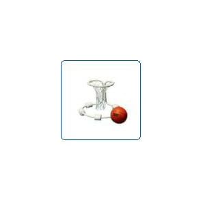 Click here to buy All Pro Water Basketball Game.