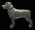 Pewter Rottweiler Pin