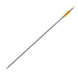 Fiberglass Arrows (Pack of 72) (PAC)