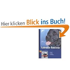 Labrador Retriever. Auswahl, Haltung, Erziehung, Besch�ftigung