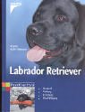 Labrador Retriever. Auswahl, Haltung, Erziehung, Beschäftigung by Brigitte Rauth-WidmannBrigitte Rauth- Widmann