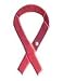 Pink Ribbon Breast Cancer Awareness Key Chain Carabiner