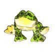 Webkinz Bullfrog with 3-pk. Cards