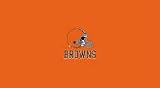 Cleveland Browns Pool Table Felt