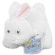  : Webkinz Rabbit