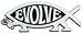 Evolve FISH Logo Decorative Silver Car Emblem