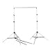 GIOTTO BACKGROUND SUPPORT SYSTEM