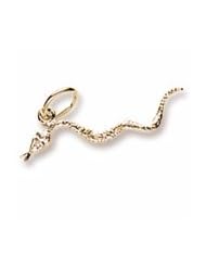 Snake Charm