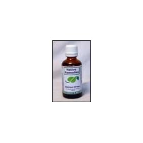 BioVent for Natural Relief from Asthma