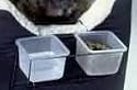 Travel Rack with 2 Containers, For Snoozer Pet Lookouts