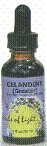 Celandine - 1 oz - Liquid