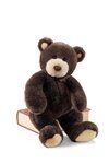 11FU%2BWnIzJL Camryn Teddy Bear Dark Brown   by Gund 13.5