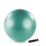 Everlast 65cm EV4118GN Stability Ball Pro