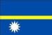 2 x 3' - NAURU FLAG - OUTDOOR