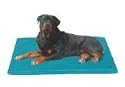 Canine Cooler Bed - Large: (36" x 48")