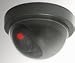 Electronics : Streetwise Security Products DDCL Dome Dummy Camera with Flashing LED Light