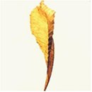 Renaissance, Vol. 4  Import