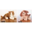 Webkinz STRIPED ALLEY CAT + COCKER SPANIEL