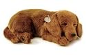 Perfect Petzzz Dachsund Puppy, Lifelike Breathing Puppy