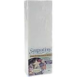 Soapsations Soap Block - Coconut (5 lbs.)