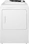 Fisher DG60FA1 6CF FL GAS DRYER F&P