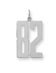 SS Large Elongated Polished Number 99 QEL99"