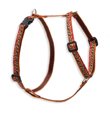 Lupine 1/2 inch Roman Harness 12-20 inches Gold Leaf