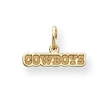 14K Dallas Cowboys X-Sm Satin Cowboys Charm - NF522