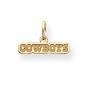 14K Dallas Cowboys X-Sm Satin Cowboys Charm - JewelryWeb