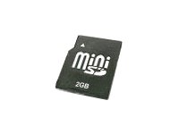 Transcend TS2GSDM 2GB Mini-Secure Digital Card