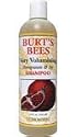 Burt's Bees - Pomegranate & Soy Shampoo, 12 fl oz liquid
