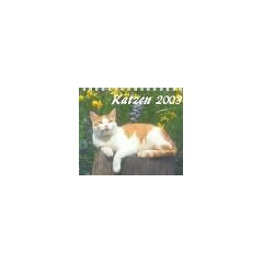 Katzen 2007.